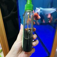 我家姑娘是敏感肌 夏天就怕被蚊子咬 这款