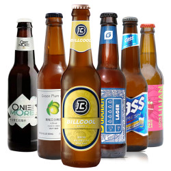6瓶装精酿啤酒比利时进口豪登凯狮 比尔酷果味白啤小麦啤酒