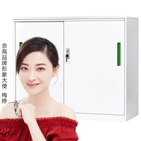 奈高 NG文件柜办公柜矮柜钢制铁皮柜资料档案储物柜拆装薄边移门纯白绿色拉手cb760