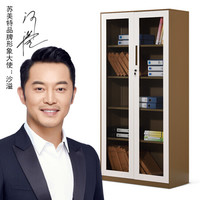 苏美特文件柜办公柜钢制铁皮柜资料柜档案柜储物拆装柜 通玻咖啡套色文件柜