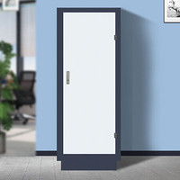 奈高 NG防磁柜CD光盘柜磁盘柜U盘柜信息安全柜储存柜大9抽