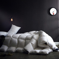 格兰贝恩（Globon）被芯家纺 霍尔多巴吉95鹅绒被 100支纯棉贡缎羽绒被子冬被 皓月白 填充量1.3kg 200*230cm