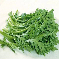 京觅 蔬菜 茼蒿  1kg