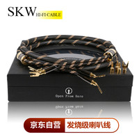 SKW 发烧级 Hi-Fi 单晶铜音响喇叭线 Y插香蕉头直插 功放胆机音箱连接线 家庭影院 BG-05-1米(单条)