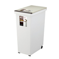 阿司倍鹭（ASVEL）日本进口厨房大号分类垃圾桶带盖家用 按压式垃圾筒客厅卫生间 45L