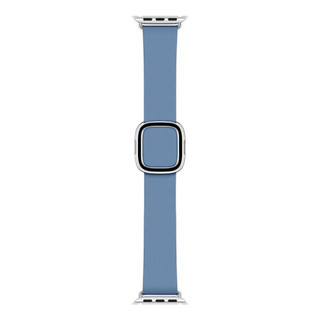 Apple 40 毫米菊蓝色现代风扣式表带 - 大号