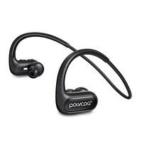 POLVCOG 铂典 C6 入耳式挂耳式被动降噪蓝牙耳机