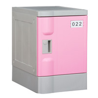  NG/奈高 带锁 储物柜 锁  2层