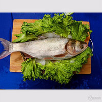 京觅 白鲢鱼   1kg