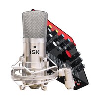 iSK 声科 专业麦克风 话筒套装 电脑手机通用变声网络k歌喊麦主播直播录音设备全套BM-800+艾肯upod pro声卡