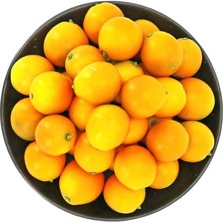 广西桂林特产小金桔 金橘 500g 新鲜水果