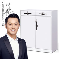 苏美特矮柜文件柜钢制拆装柜铁皮储物柜二斗白色
