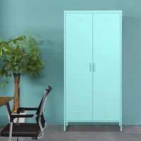 中伟更衣柜员工柜储物大衣柜柜钢制铁皮柜寄存柜鞋柜二门更衣柜可定制薄荷绿