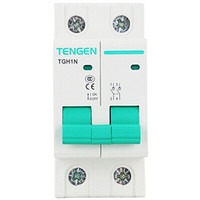 天正电气（TENGEN）小型隔离开关 TGH1N-125 2P 32A /个 可定制