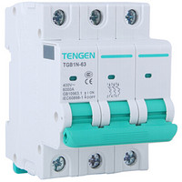天正电气（TENGEN）小型断路器 TGB1N-63 3P D25 /个 可定制