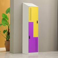  ZHONGWEI/中伟 GYG-1  单门更衣柜+门锁  2层