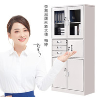 NG文件柜办公柜钢制铁皮柜资料柜档案柜储物柜偏三保文件柜