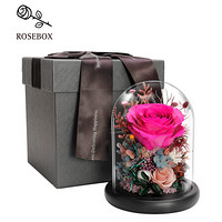 玫瑰盒子（RoseBox）永生花玻璃罩礼盒鲜花速递创意情人节圣诞节生日礼物送女生朋友闺蜜情侣创意礼品