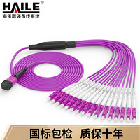 海乐（Haile）多模万兆OM4光纤跳线 400G模块用MPO光纤线 16芯MPO-LC 30米 MPO-MTA16-LC-30M