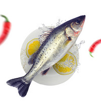 壹条鱻 白蕉海鲈鱼 液氮锁鲜 三去250~300g (去腮去鳞去内脏) 方便菜 1条 烧烤食材 海鲜水产