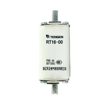 天正电气（TENGEN）熔断器 RT16-1(NT1)/200A /个  可定制
