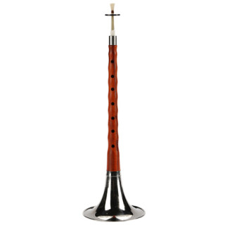 【相思鸟唢呐】相思鸟(LOVEBIRD)唢呐 D调红