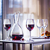利比Libbey  醒酒器套装家用红酒杯玻璃高脚杯欧式奢华典雅醒酒器5件套 951005