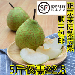 佑嘉木 莱阳梨  慈梨  五斤顺丰包邮