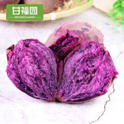 甘福园 小紫薯 5斤装