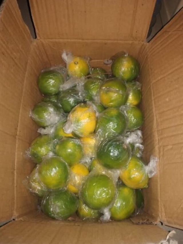 青柠檬，味道先不说，颜值还是很高的，果子