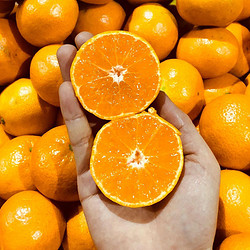 鲜箭 新鲜橘子 蜜桔 5斤