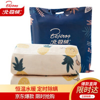北极绒 安全调温除螨电热毯水暖毯 小菠萝0.9米床 80*150cm 自动断电单控电褥子