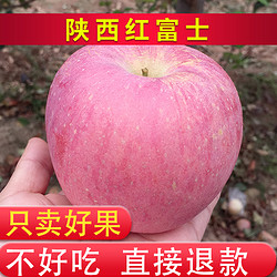 陕西红富士礼泉丑苹果10斤18.6元