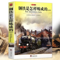 《钢铁是怎样炼成的》完整版 赠送考点手册