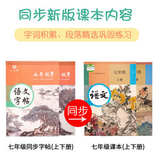 六品堂 七年级语文字帖上下册同步2019人教版衡水体中文初一7年级钢笔古诗词写字课课练字帖初中生