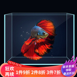 鱼麒麟 鱼缸水族箱 500*300*350裸缸 *3件