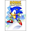 Sonic the Hedgehog Archives: Volume Twelve