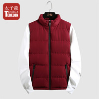 太子龙 TEDELON 马甲男士 2019秋冬新品马夹男外套韩版潮流无袖外衣坎肩休闲保暖背心 HC-M505 红色 2XL