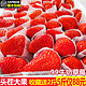 现货牛奶草莓新鲜水果5斤包邮奶油巧克力红颜99大草莓孕妇非丹东3