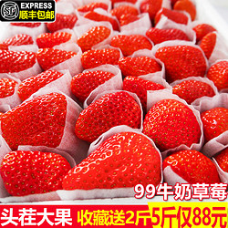 现货牛奶草莓新鲜水果5斤包邮奶油巧克力红颜99大草莓孕妇非丹东3