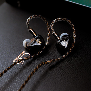 SHANLING 山灵 ME700 周年典藏版 入耳式挂耳式降噪有线耳机 黑色 3.5mm