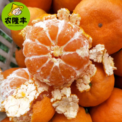 广西桂林默科特柑橘净重5斤17.9元