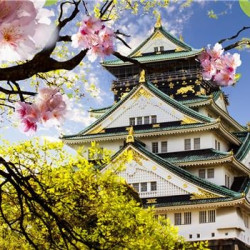 直飞往返+宿5晚道顿堀！天津-日本大阪6天5晚自由行