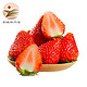 京东PLUS会员：红颜草莓 巧克力奶油草莓 3斤精品果