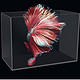 鱼麒麟 超白玻璃鱼缸 裸缸 500*300*350mm +凑单品