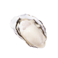 润福堂 乳山生蚝 5斤装 单只70g以下