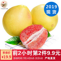 柚子 红心蜜柚1个装 单果2.2-2.8斤 新鲜柚子水果 *2件