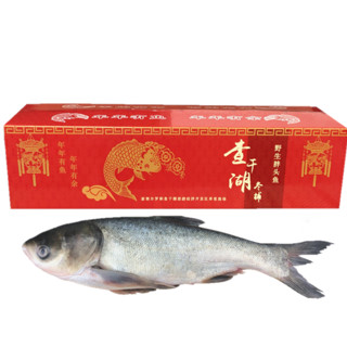 chingree查干湖胖头鱼1011斤1条礼盒装