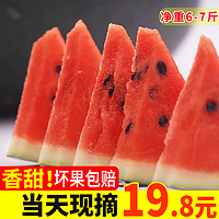 越南黑美人西瓜应季新鲜水果5-7斤整箱广西包邮进口黑籽瓜10
