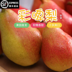 山村福润 新鲜彩啤梨 精选中果 1斤 *5件